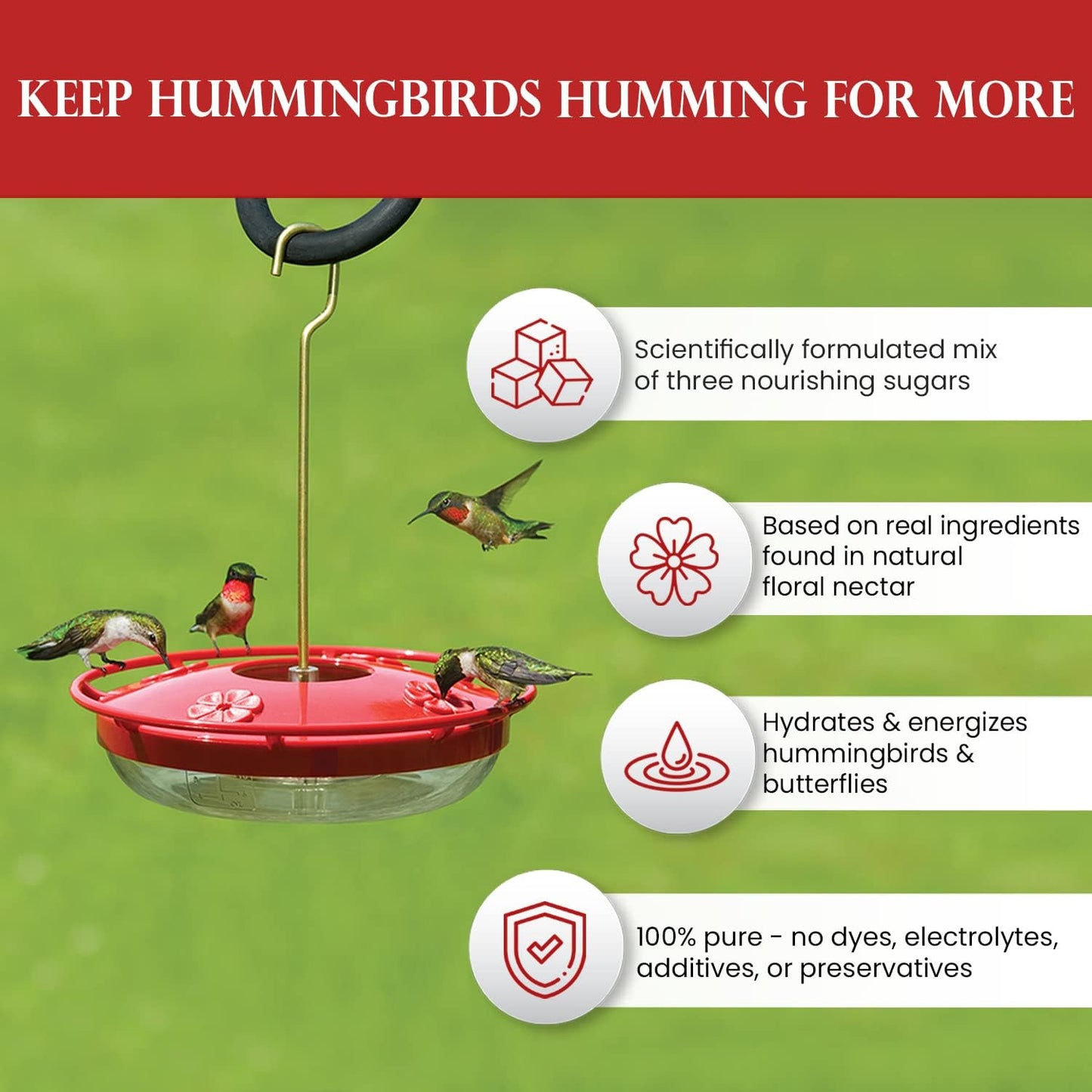 Premium Hummingbird Nectar