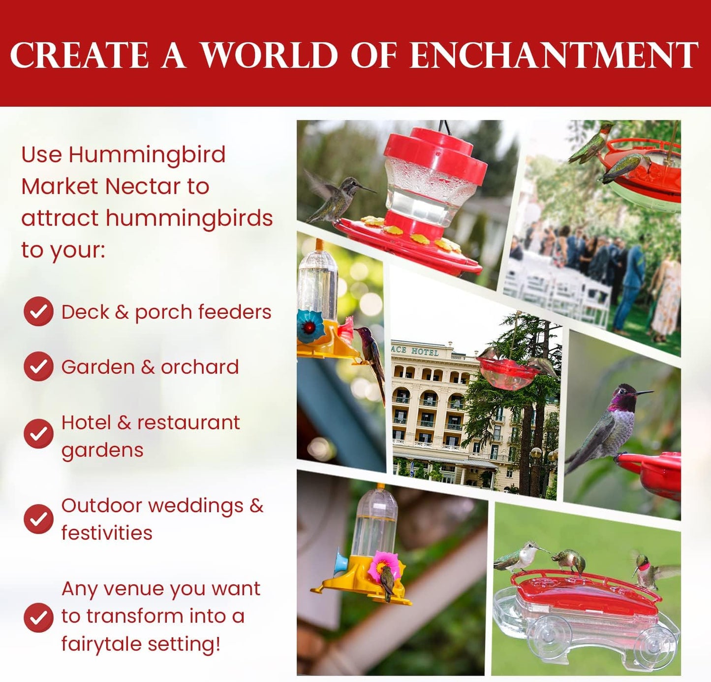 Premium Hummingbird Nectar
